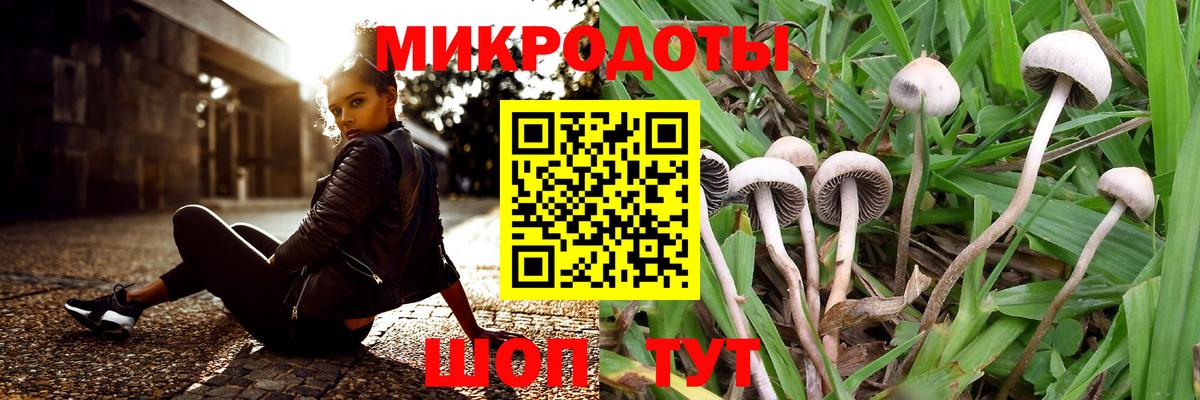 Гудермес  Псилоцибиновые грибы MAGIC MUSHROOMS  Вход с VPN 