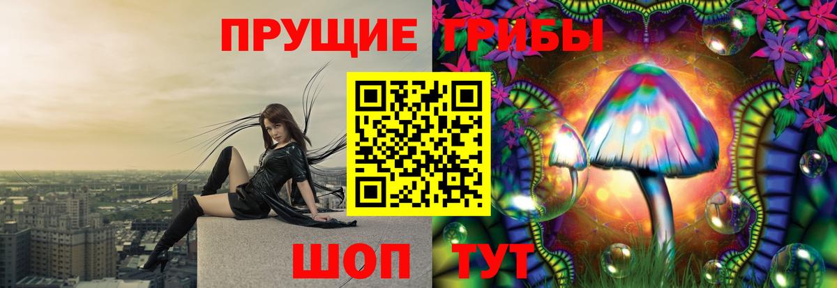 Галлюциногенные грибы ЛСД Гудермес